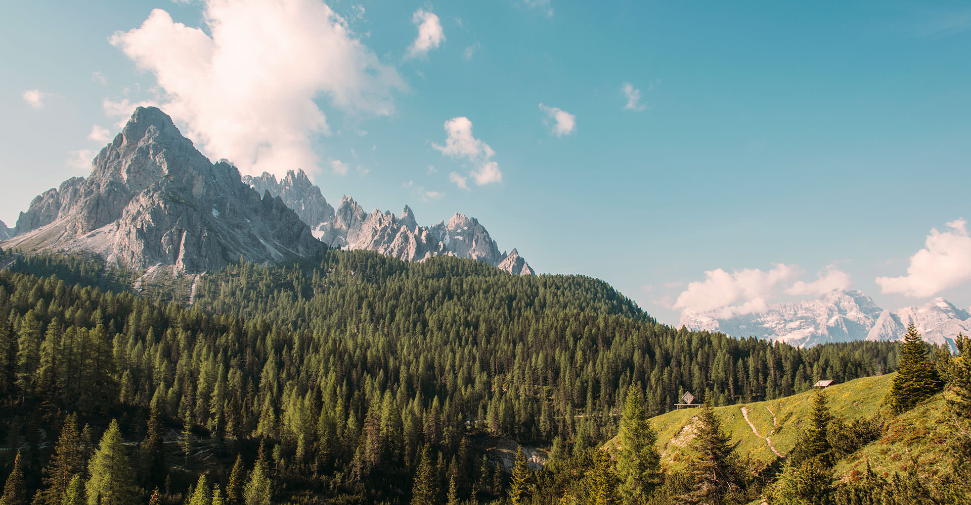 Forested mountains across a valley