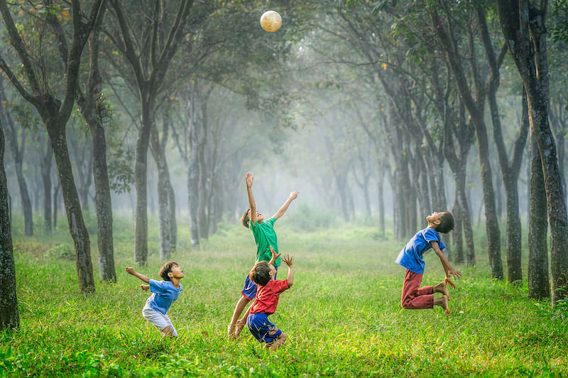 People spending time together outdoors among trees